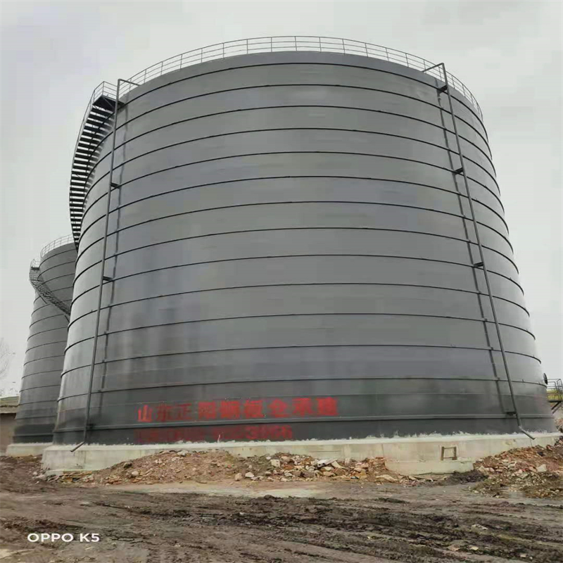 博湖3万吨大型钢板库